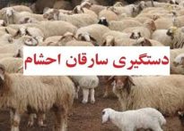 دستبند پلیس بر دستان سارق احشام